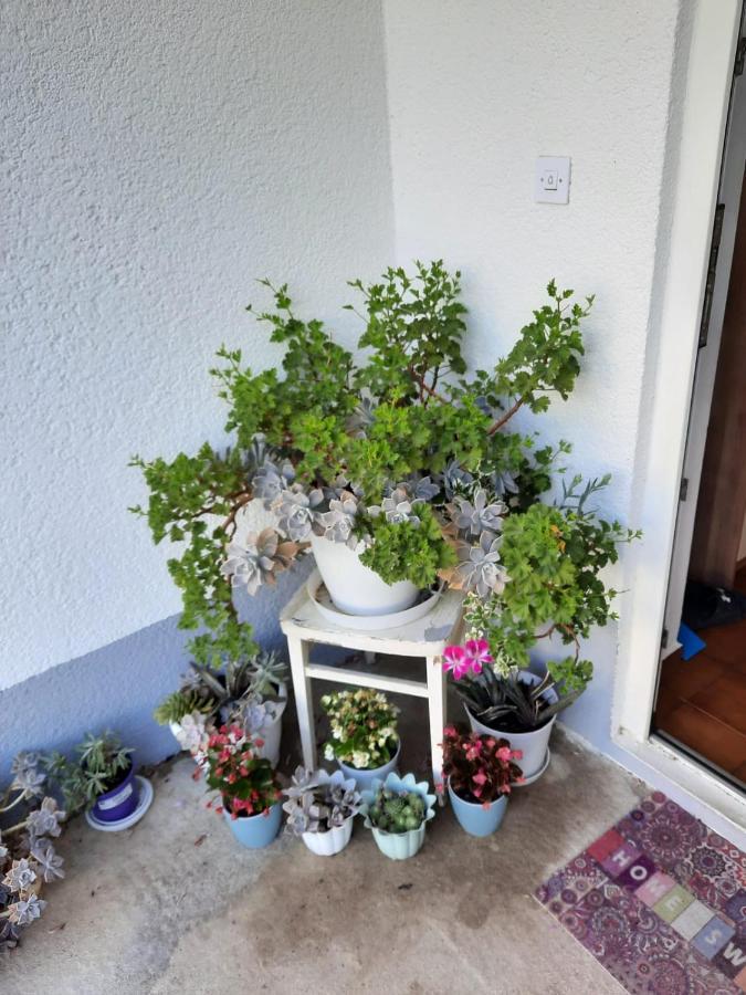 Apartmani Gracela ヴォディツェ エクステリア 写真